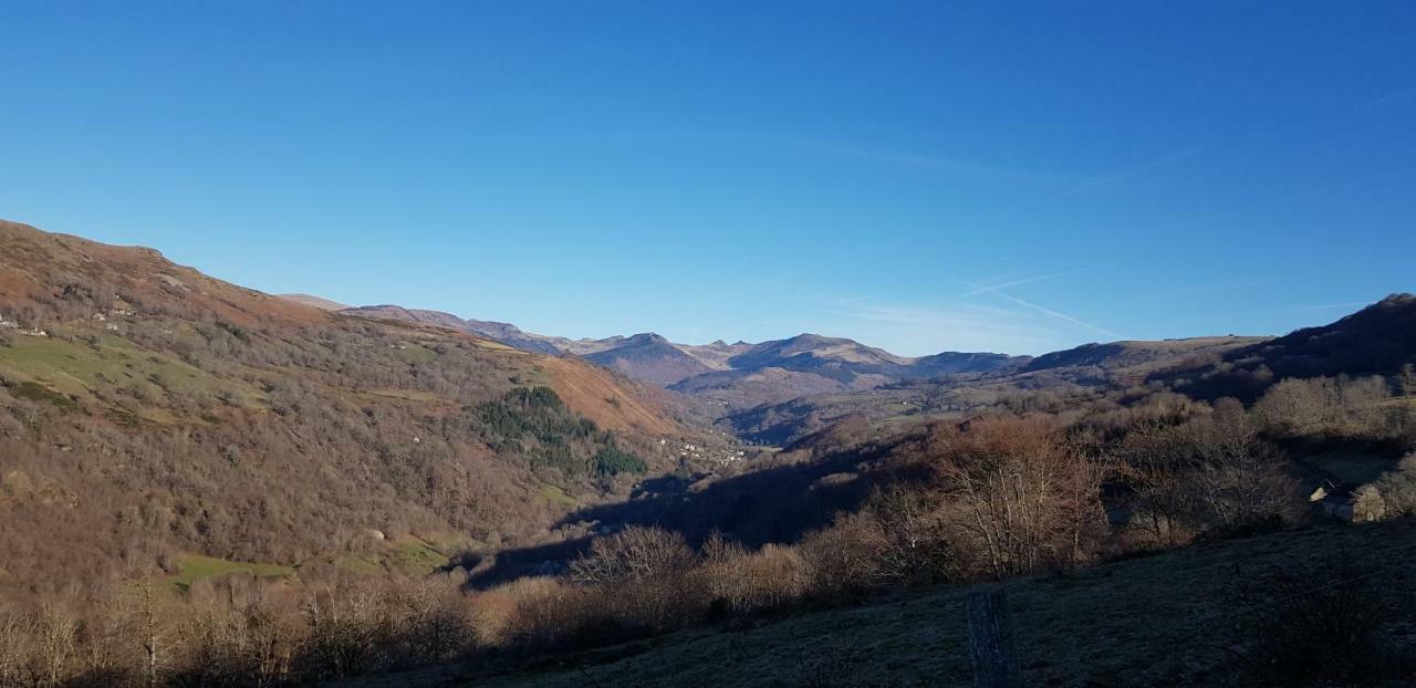 Maison Du Pays De Salers Dans Le Parc Des Volcans D'auvergne Vakantiehuis Saint-Projet-de-Salers